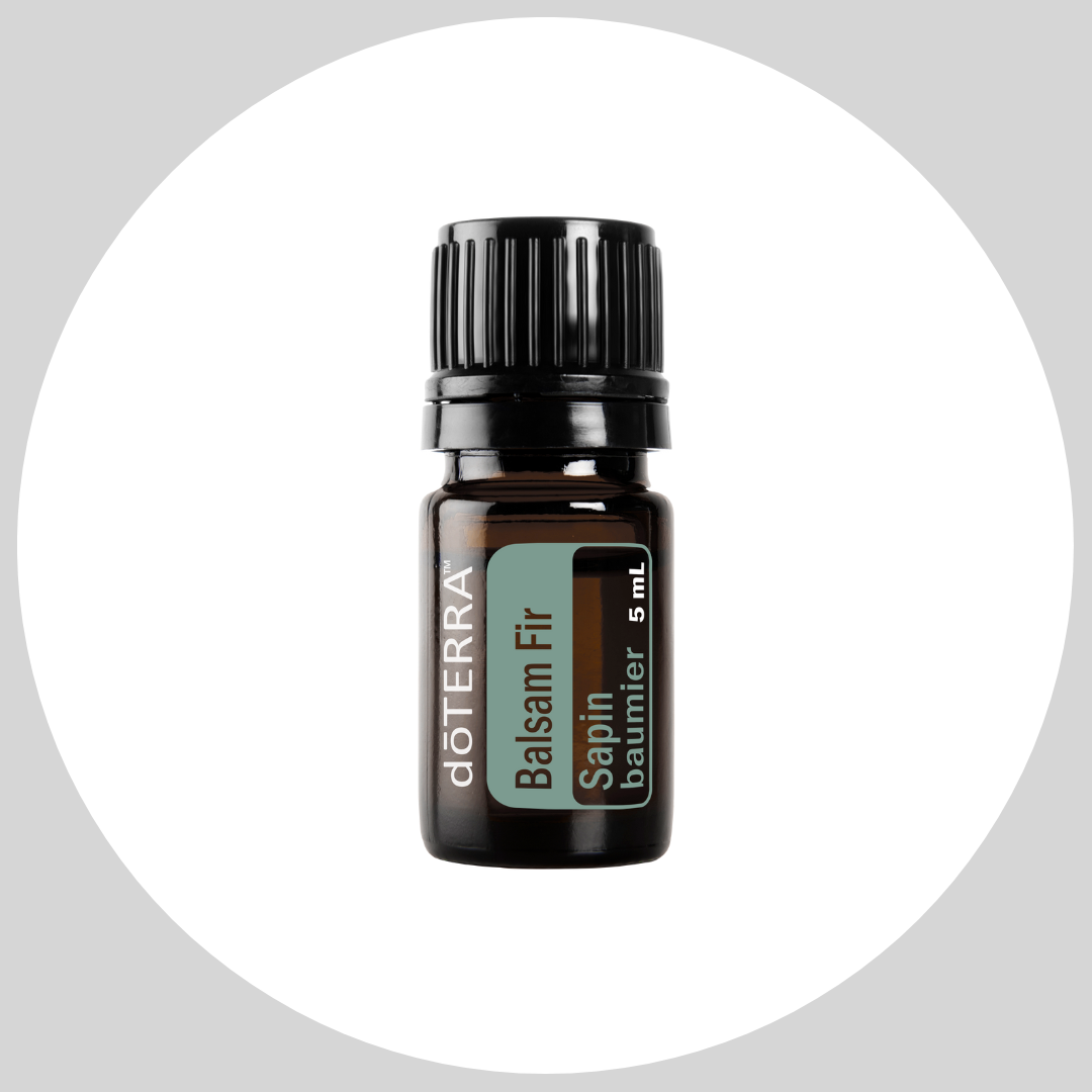 Balsam Fir