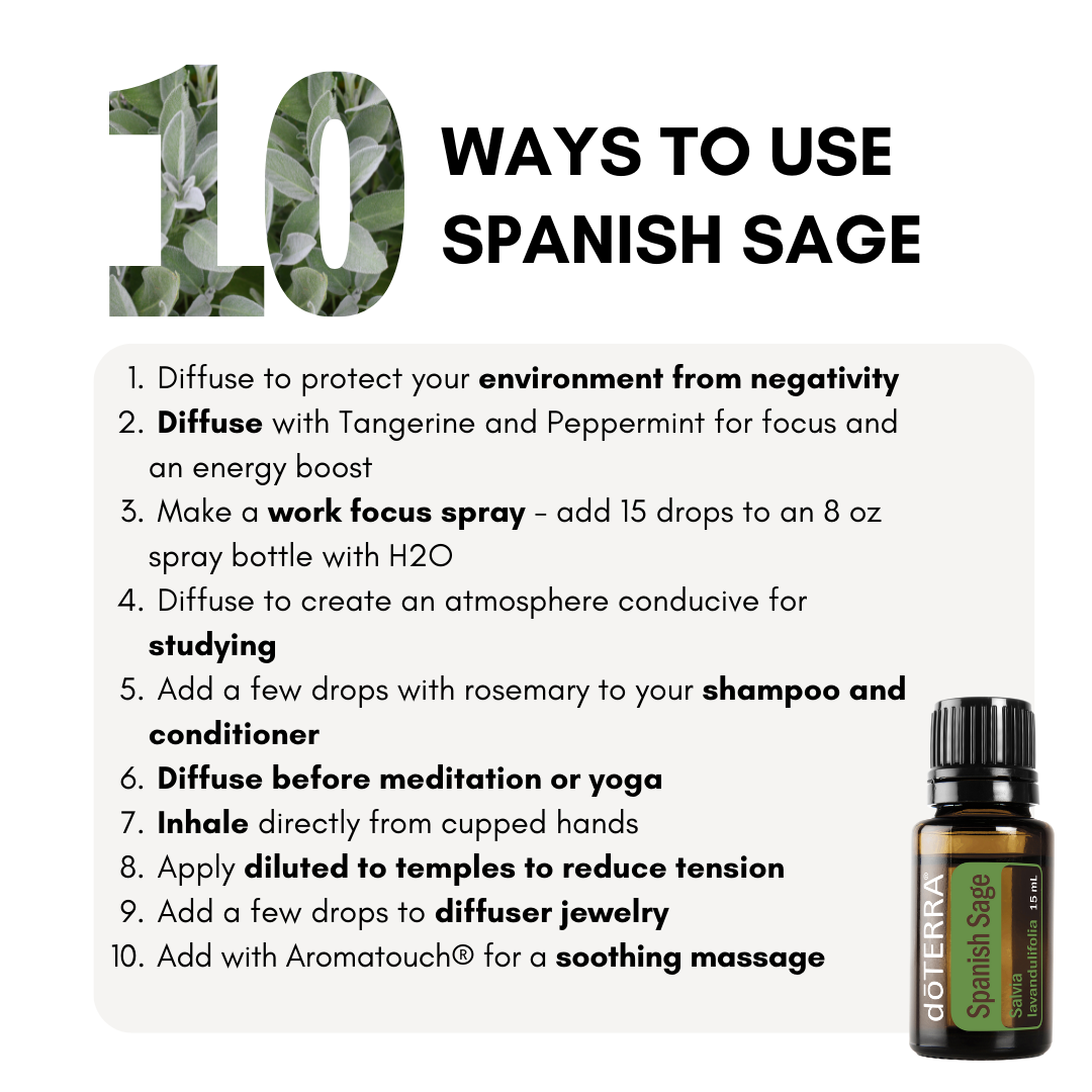 Spanish Sage Essential Oil