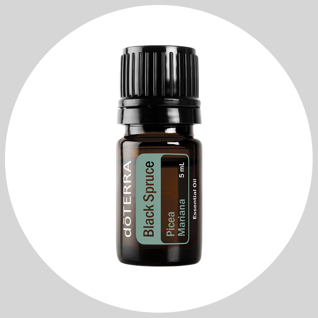 Black Spruce 5mL