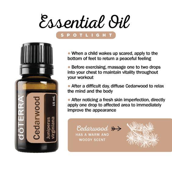 Cedarwood 15mL