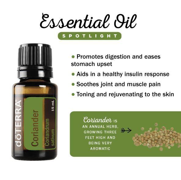 Coriander 15mL