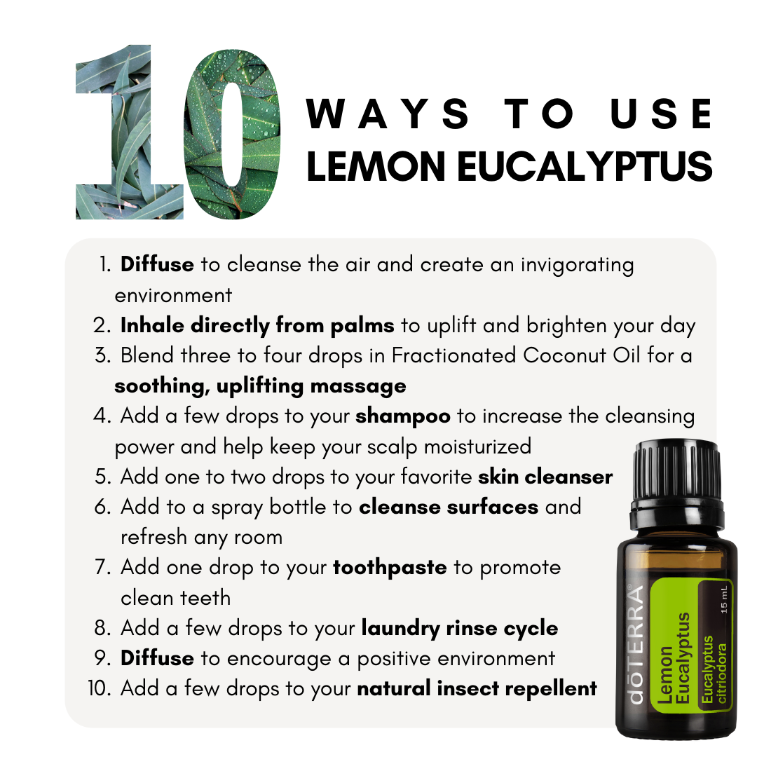 Lemon Eucalyptus