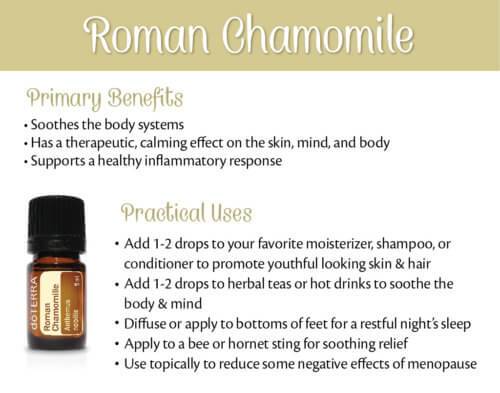 Roman Chamomile 5mL