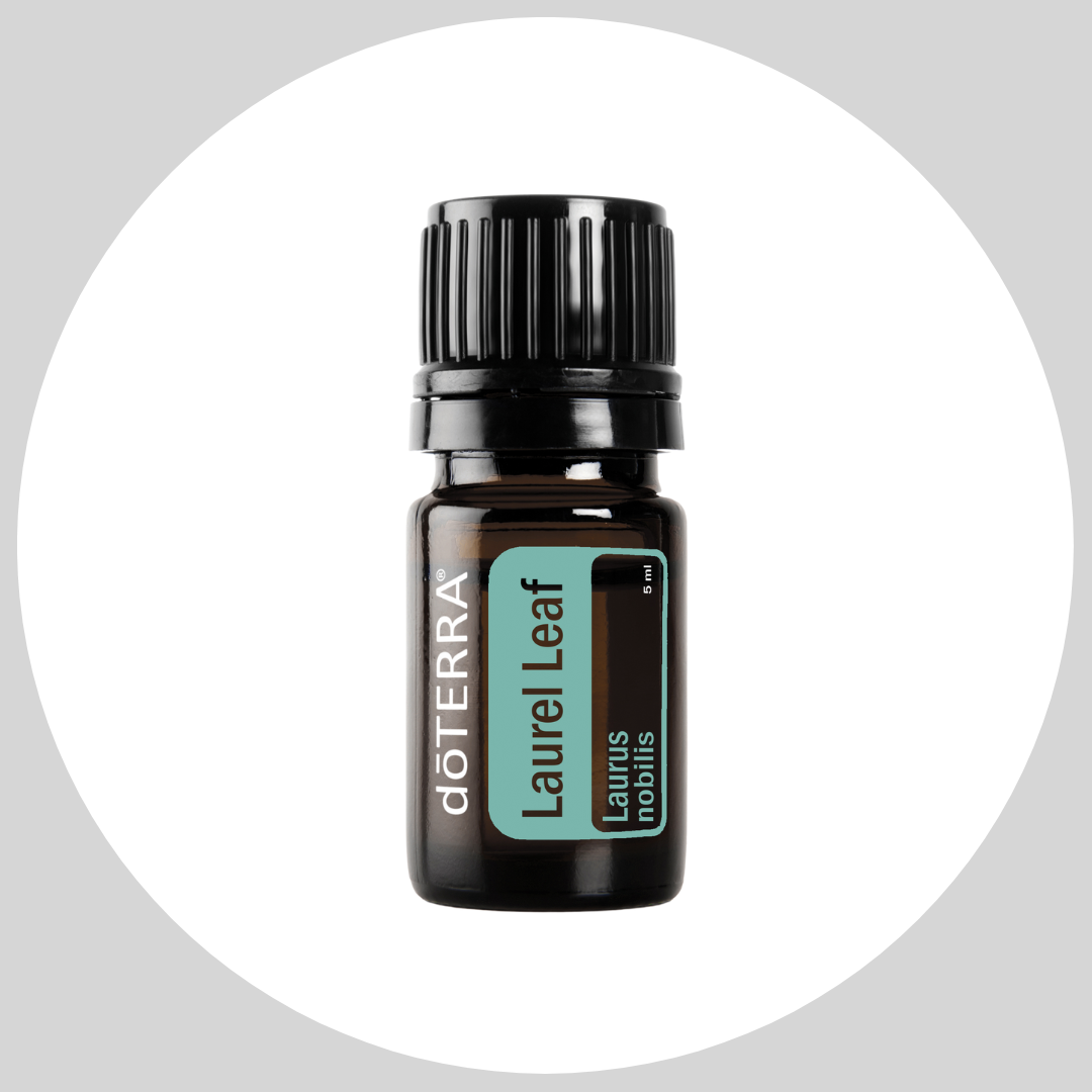 Laurel Leaf Essential Oil (5mL)