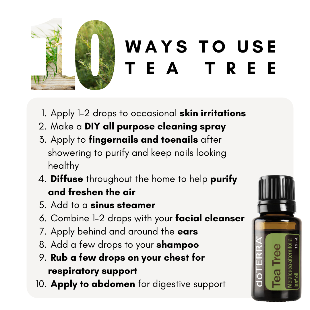 Tea Tree (Melaleuca) 15mL