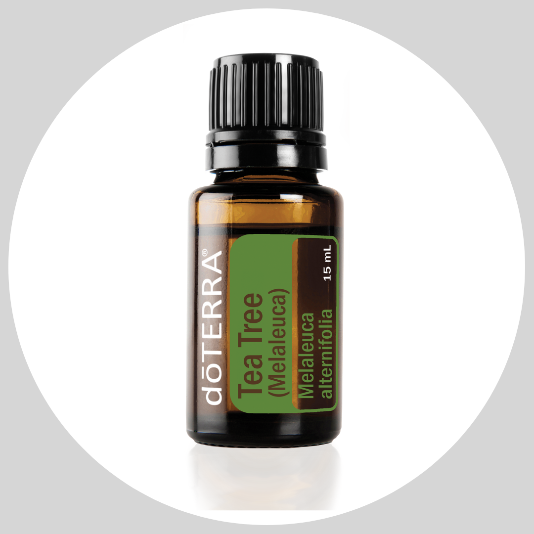Tea Tree (Melaleuca) 15mL