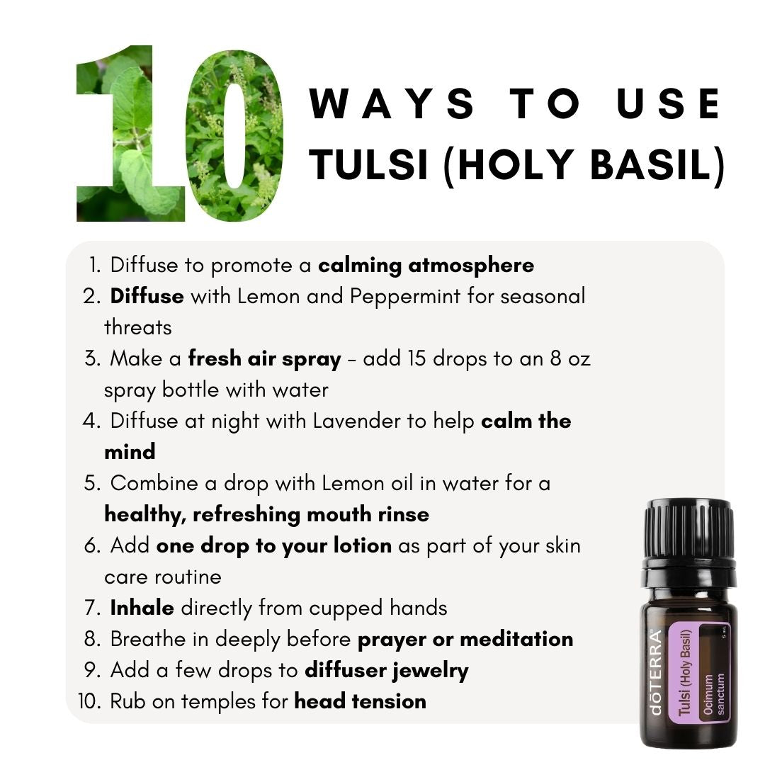 Tulsi (Holy Basil) 5mL