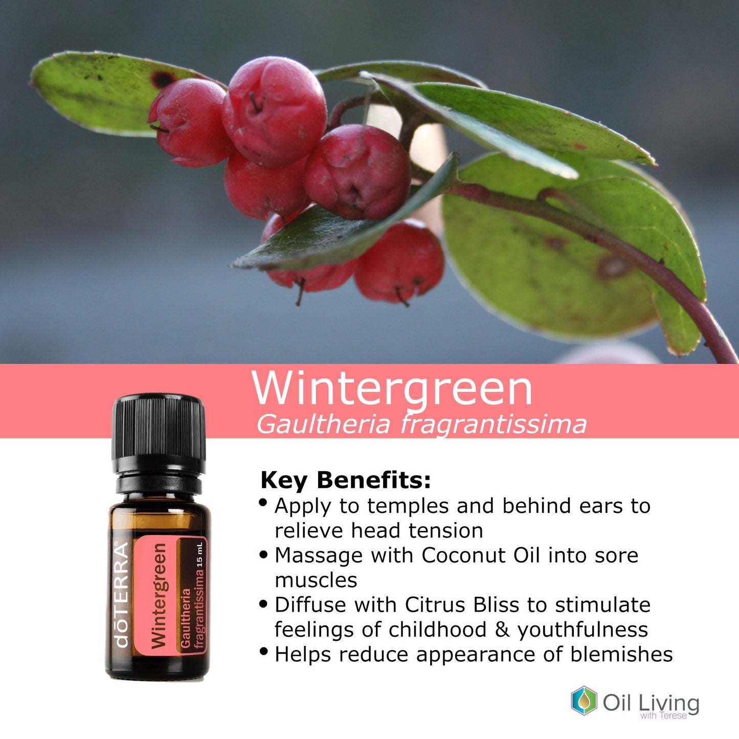 Wintergreen 15mL