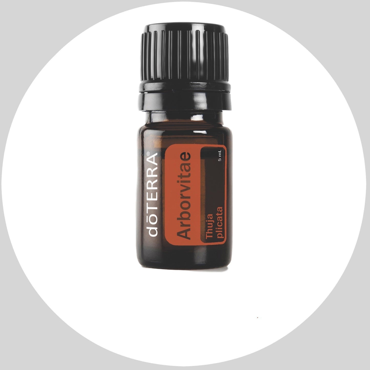 Arborvitae 5mL
