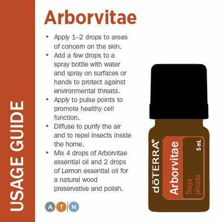 Arborvitae 5mL