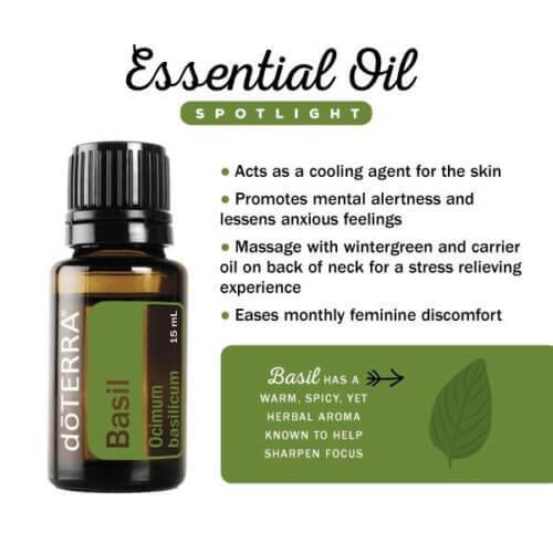 Basil 15mL