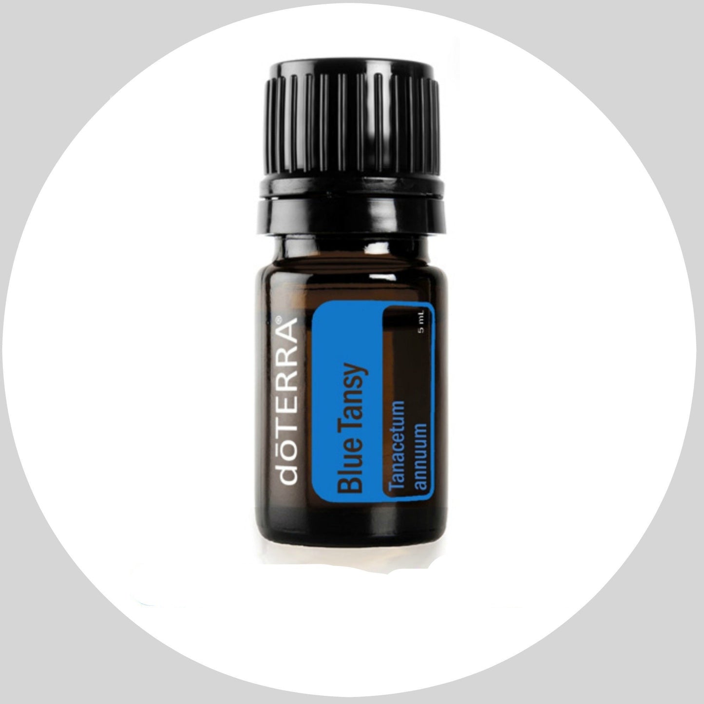 Blue Tansy 5mL