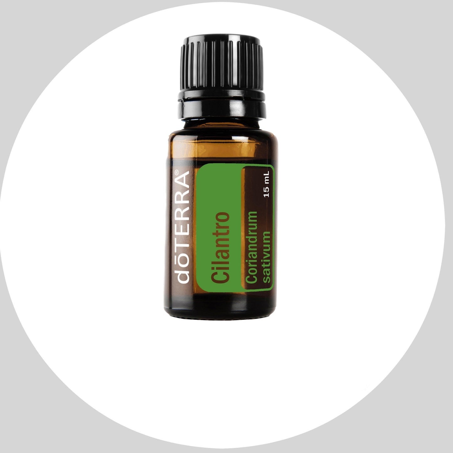 Cilantro 15mL
