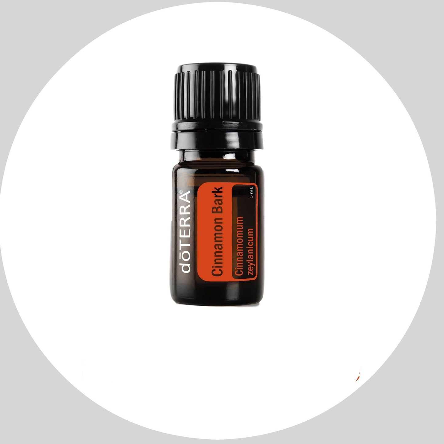 Cinnamon Bark 5mL
