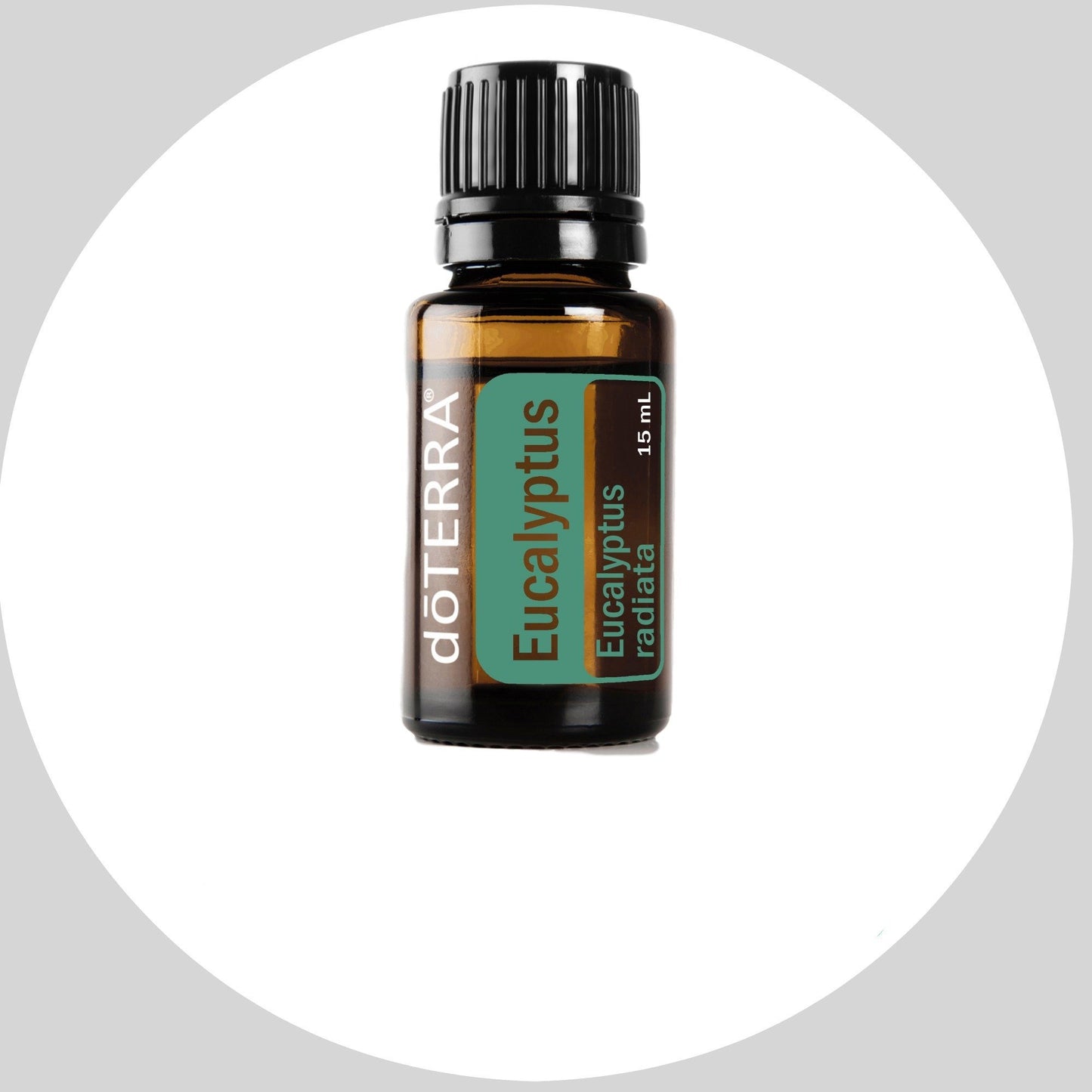 Eucalyptus 15mL