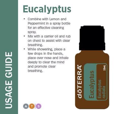 Eucalyptus 15mL