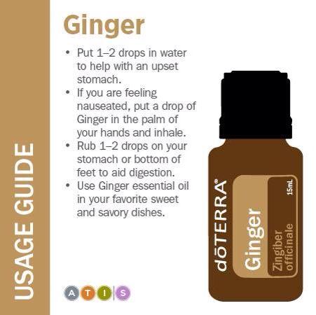 Ginger 15mL