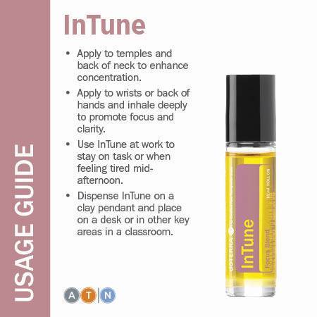 InTune (Focus Blend) 10mL
