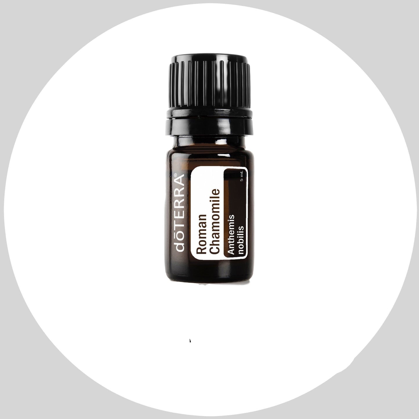 Roman Chamomile 5mL