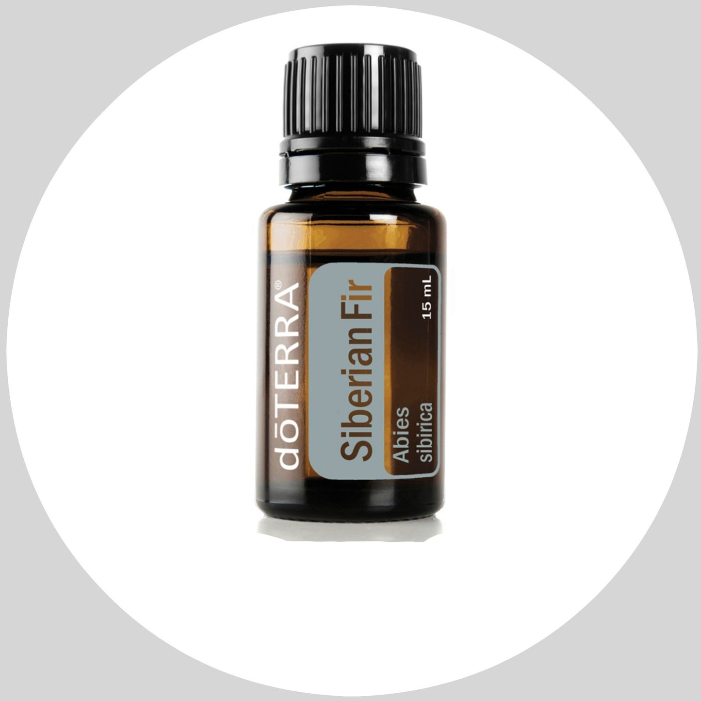 Siberian Fir 15mL