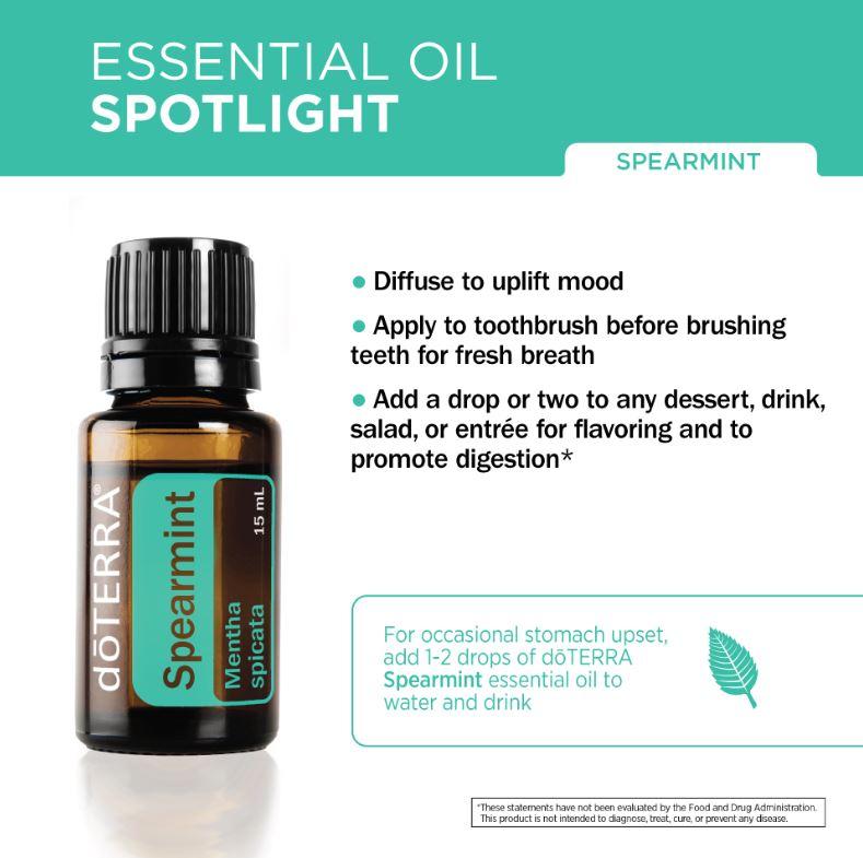 Spearmint 15mL