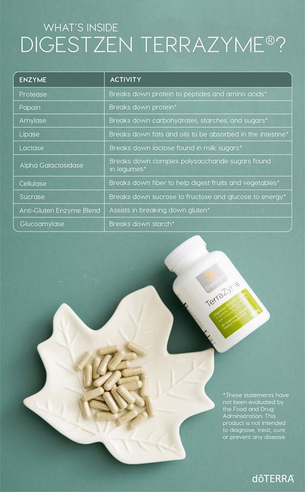 Terrazyme Digestive Enzyme Complex 90 Caps