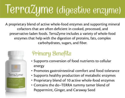 Terrazyme Digestive Enzyme Complex 90 Caps