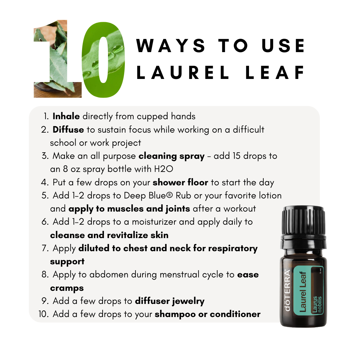 Laurel Leaf Essential Oil (5mL)