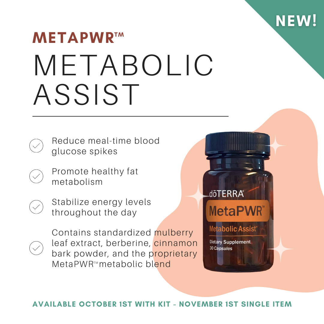 MetaPWR Assist