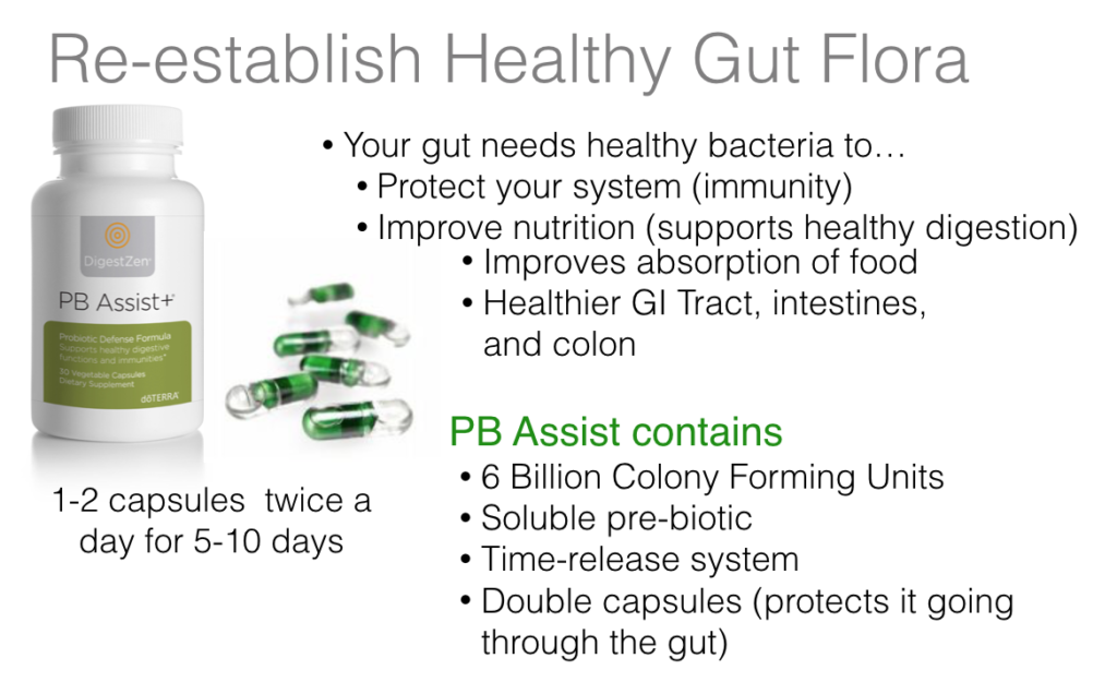 PB Assist+ Probiotic Defense Formula 30 Caps