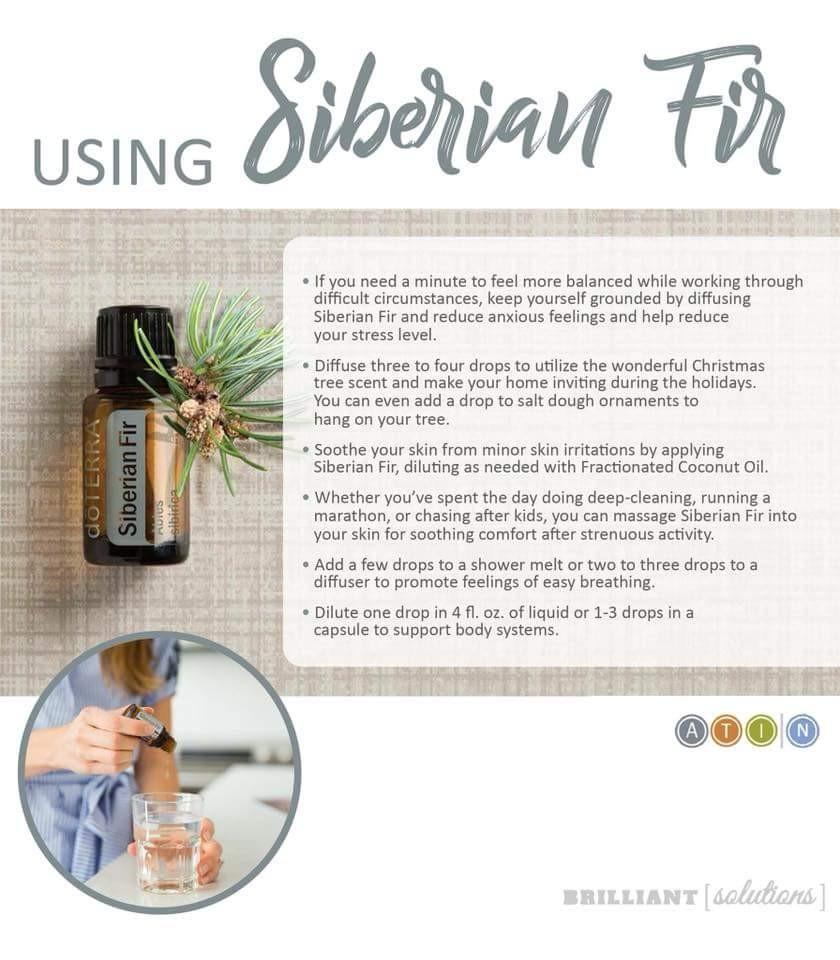 Siberian Fir 15mL