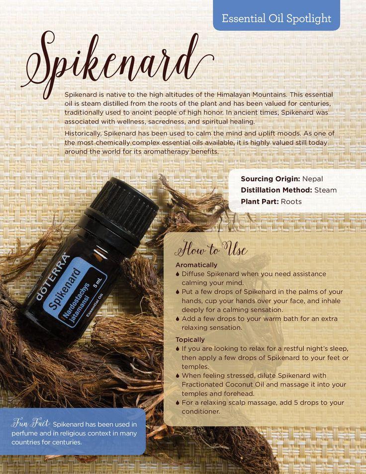 Spikenard 5mL