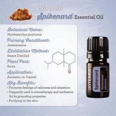 Spikenard 5mL